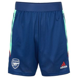 Arsenal Adult 21/22 Pro Training Shorts 2XL